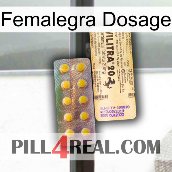 Femalegra Dosage new06.jpg